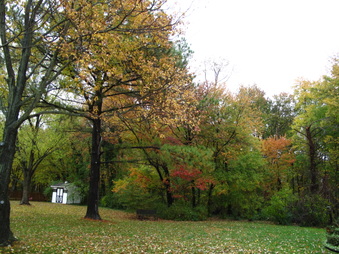 Enlarge photo 191