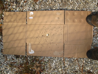 Enlarge photo 202