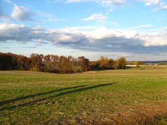 Enlarge photo 66