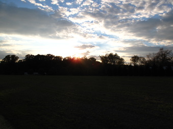 Enlarge photo 70