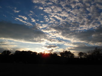 Enlarge photo 73