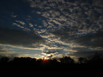 Enlarge photo 74