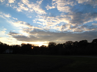 Enlarge photo 89