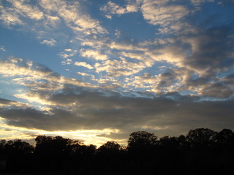 Enlarge photo 93