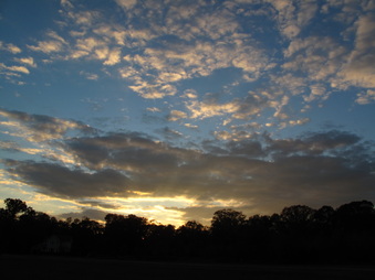 Enlarge photo 103