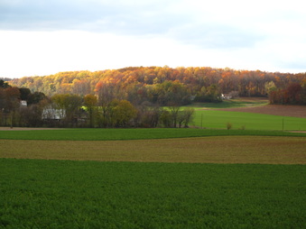 Enlarge photo 120