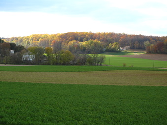Enlarge photo 119