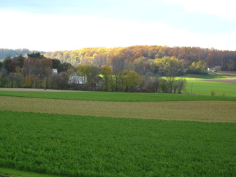 Enlarge photo 121