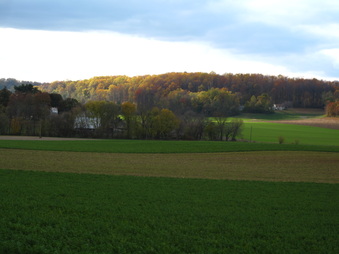 Enlarge photo 122