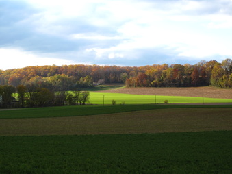 Enlarge photo 123