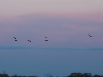 Enlarge photo 168