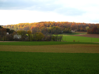Enlarge photo 14