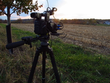 Enlarge photo 53