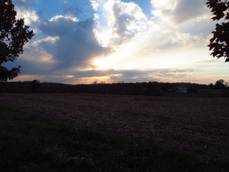 Enlarge photo 56