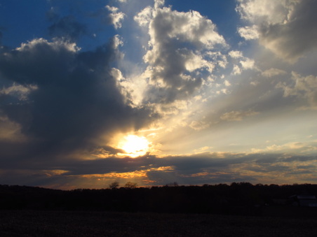 Enlarge photo 58