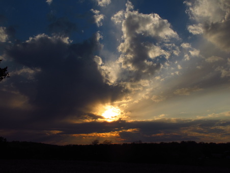 Enlarge photo 57