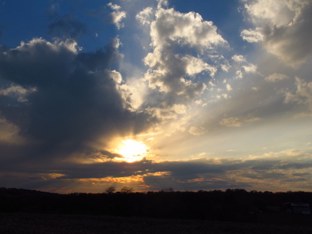 Enlarge photo 60