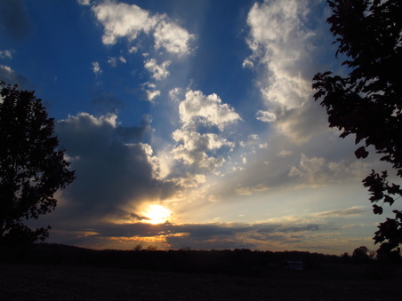 Enlarge photo 59