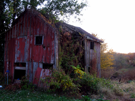 Enlarge photo 62