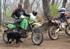 Enlarge photo 120