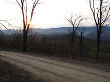 Enlarge photo 54