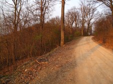 Enlarge photo 58
