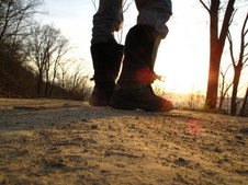 Enlarge photo 57