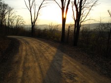 Enlarge photo 59