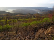 Enlarge photo 63