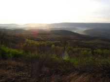 Enlarge photo 66