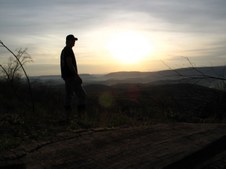 Enlarge photo 65