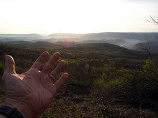 Enlarge photo 67