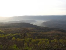 Enlarge photo 69