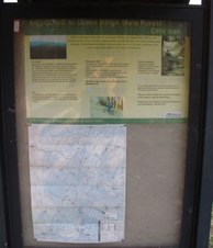 Enlarge photo 71