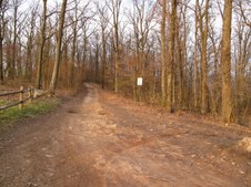 Enlarge photo 72
