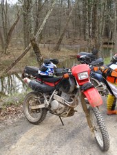 Enlarge photo 91