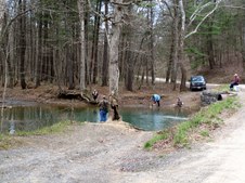 Enlarge photo 92