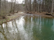 Enlarge photo 93