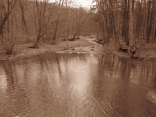 Enlarge photo 95