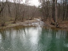 Enlarge photo 97