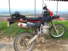 Enlarge photo 99