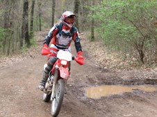 Enlarge photo 35
