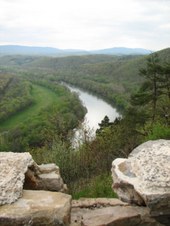 Enlarge photo 45