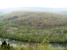 Enlarge photo 48