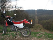 Enlarge photo 16