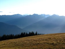 Enlarge photo 36
