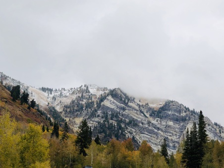 Enlarge photo 158