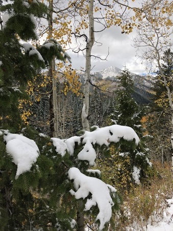 Enlarge photo 295