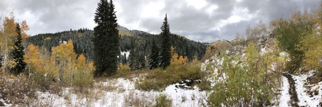 Enlarge photo 288