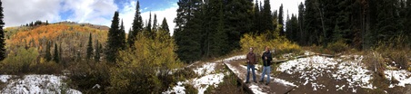 Enlarge photo 339